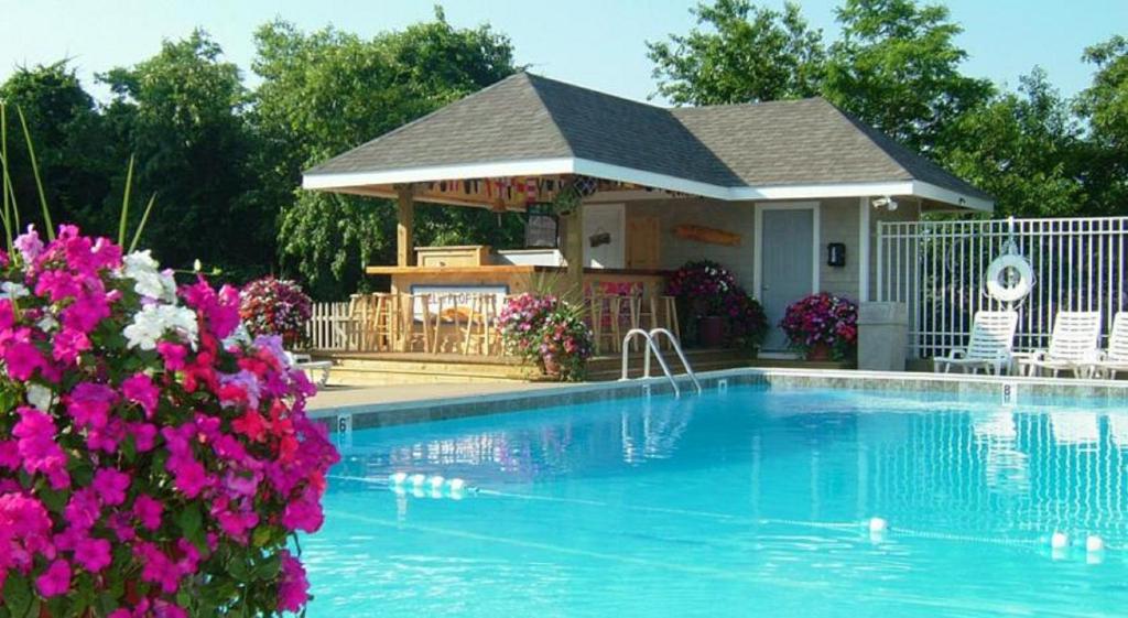 西雅茅斯碧沙度假酒店的一个带凉亭和紫色鲜花的游泳池
