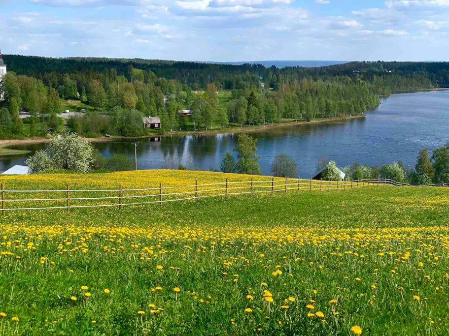 FöllingeAppartement in Jämtland bij Gusto Stables ...的花田,有栅栏和湖泊