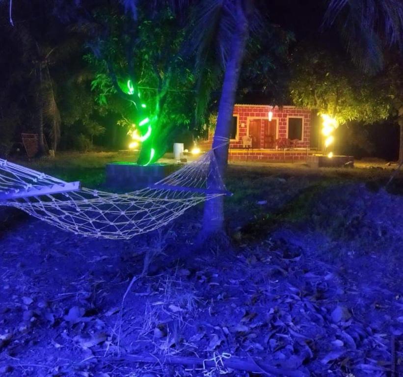 Revadandapratik Mango farm house的夜晚在院子里绑在树上的吊床