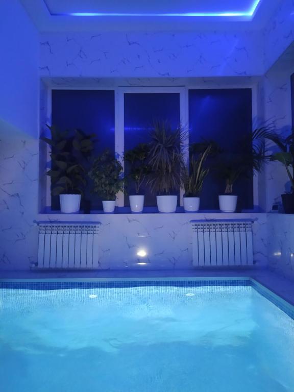 巴库Mardakan Villa的一座种植了盆栽植物的夜间游泳池