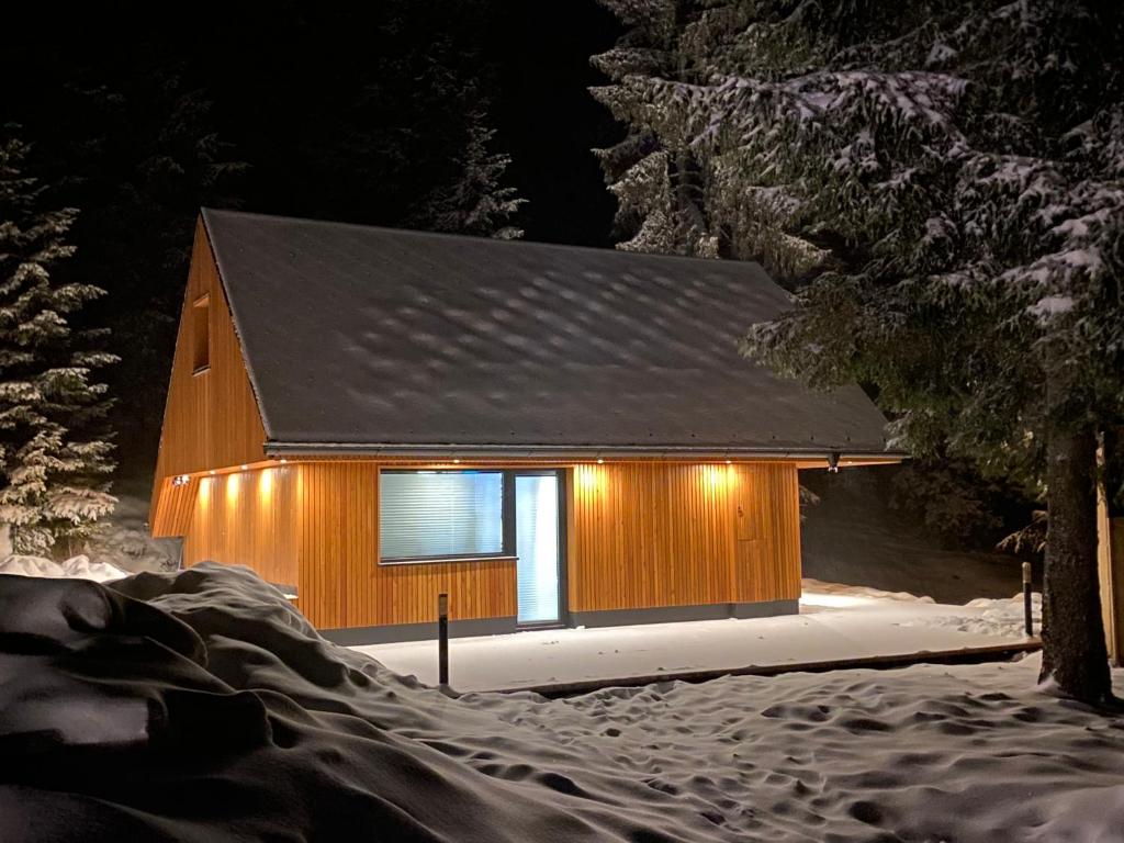 VitanjeBrunarica Rogla的雪中带灯的小木屋