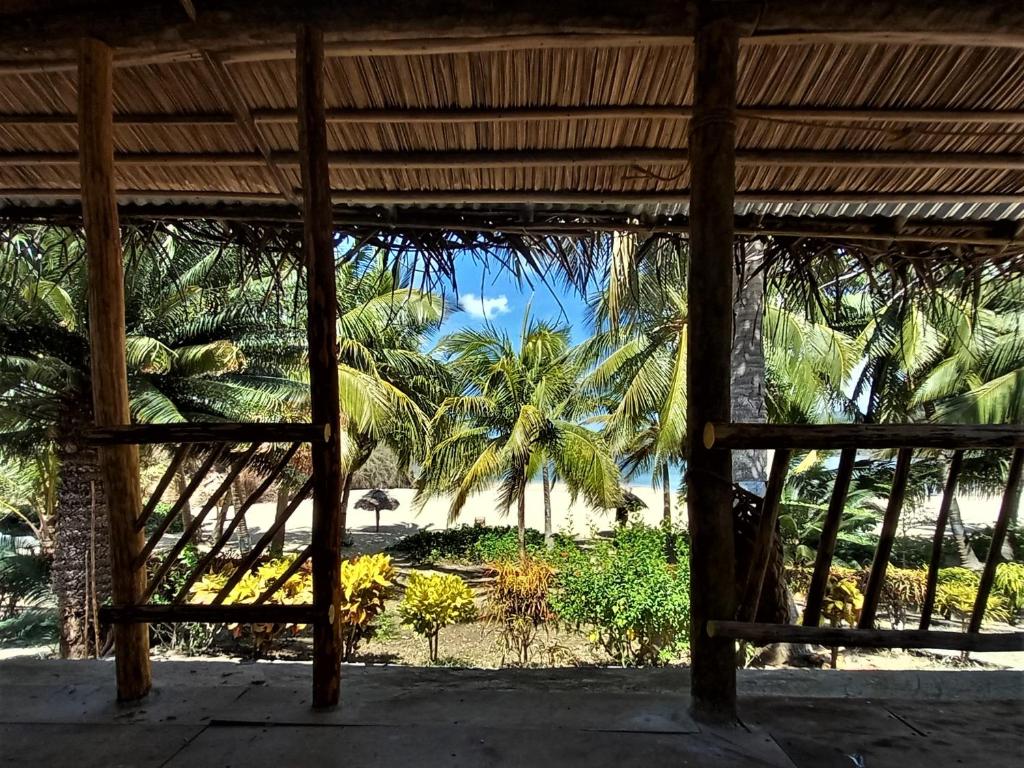 MohéliMoheli Laka Lodge的棕榈树建筑享有海滩美景