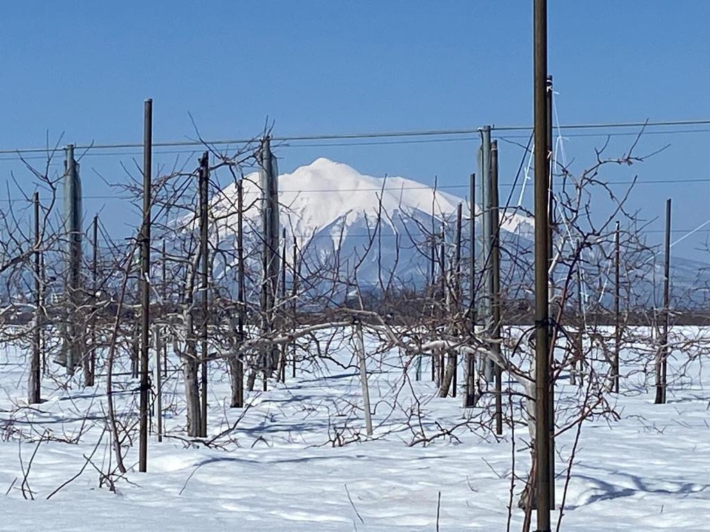 弘前市HIROSAKI清水森はうす的雪中围着山,背景是山