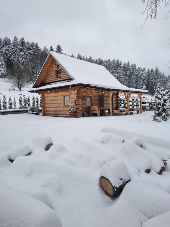 梅希莱尼采Jodłowa Chata的小木屋,地面上积雪