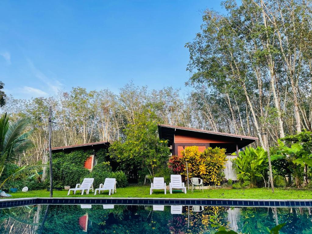 阁遥岛Lok Mun Bungalows的森林旁带游泳池的房子