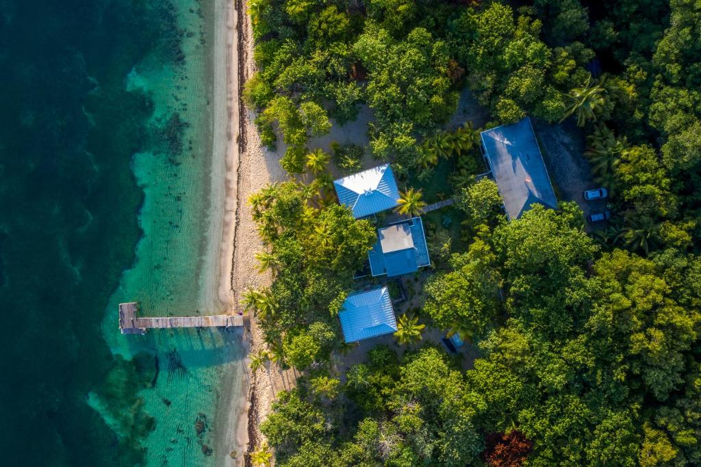 罗阿坦Camp Bay Lodge的享有海滩上方的房屋和大海美景