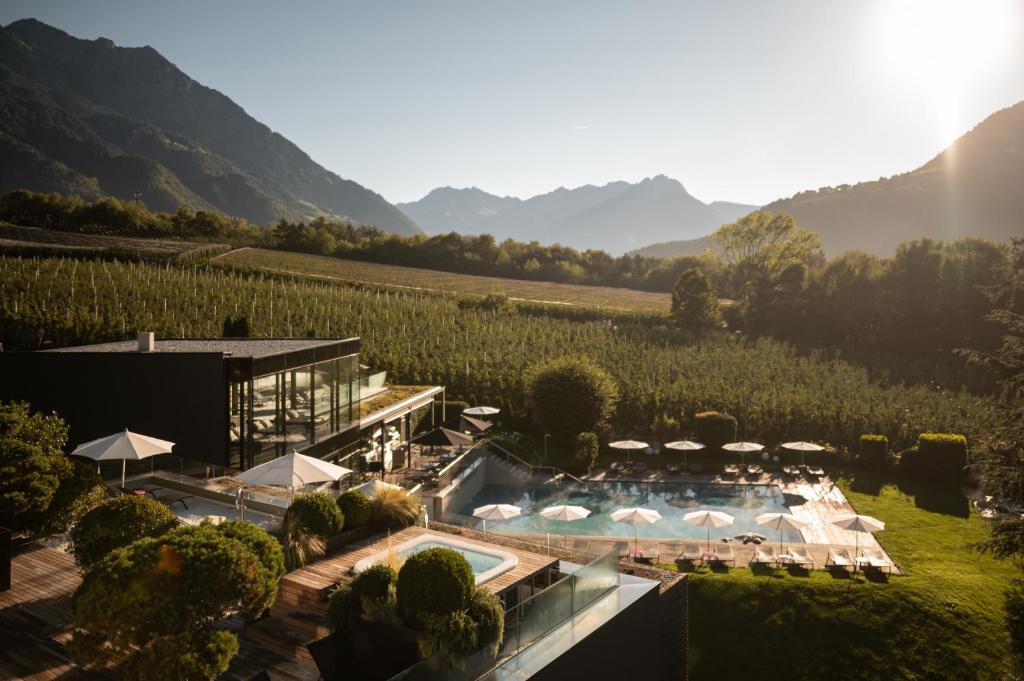 拉布拉蒂罗尔设计酒店的享有葡萄园景致的带游泳池的度假酒店