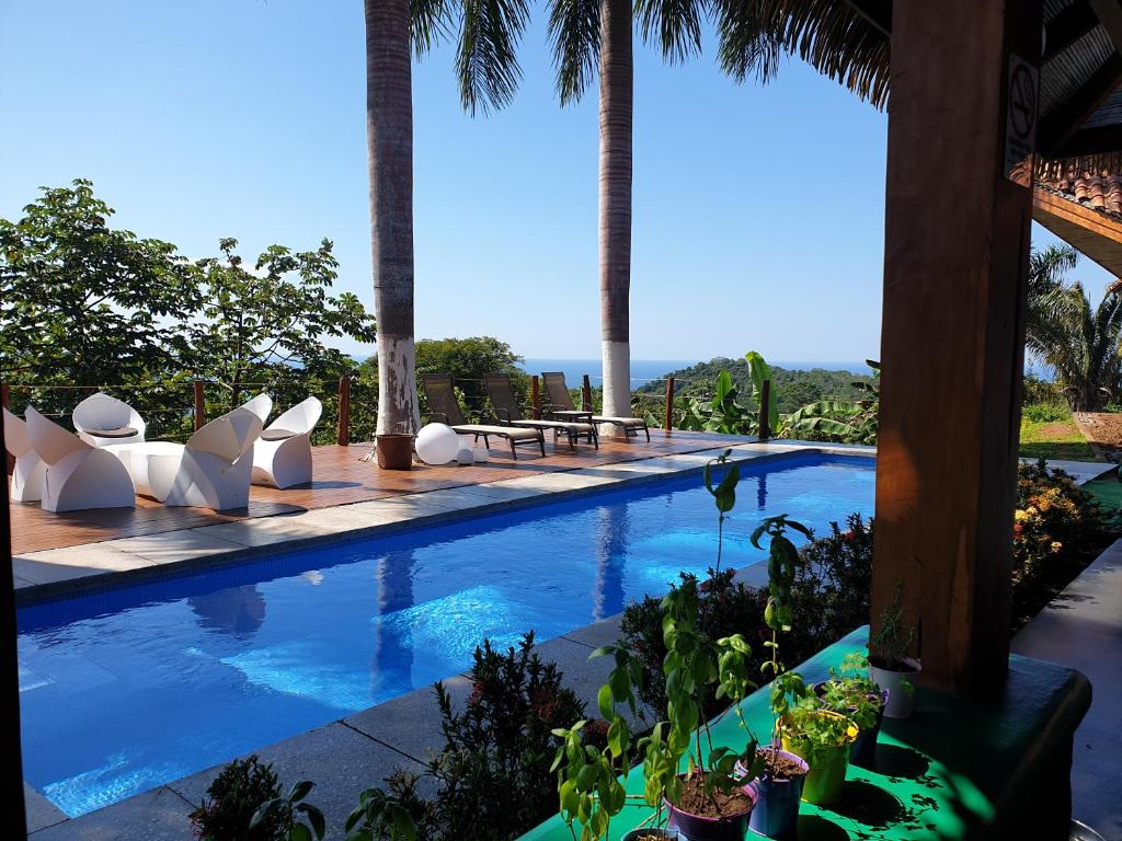 Playa San Miguel Palmetto Lodge的一个带白色椅子和棕榈树的游泳池
