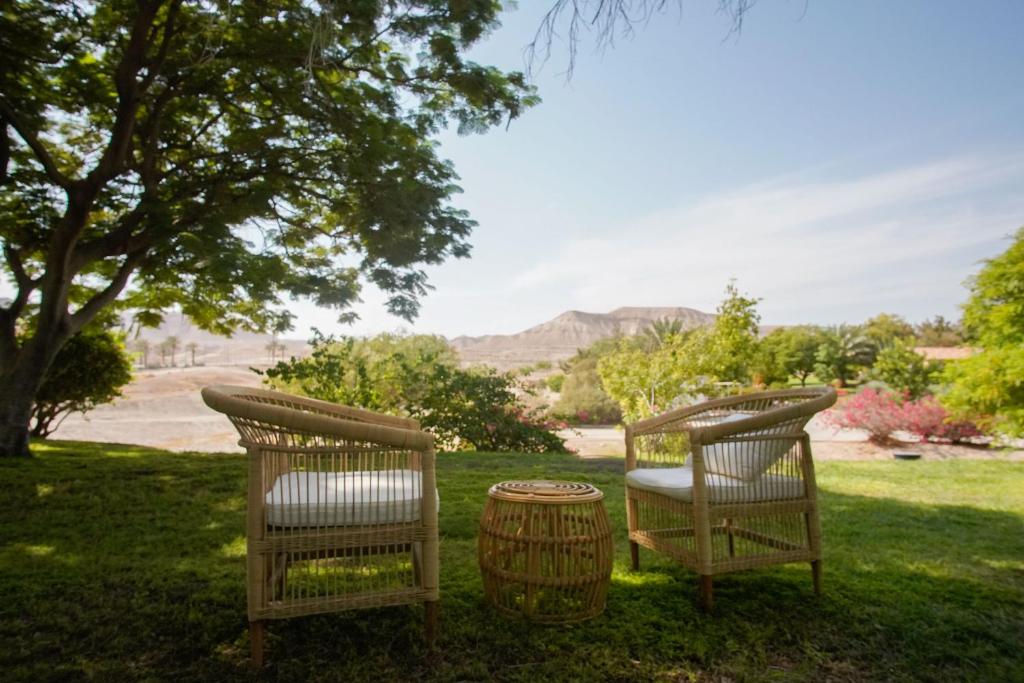 阿尔莫格Selina Mantur Almog Dead Sea的两把椅子和一桶在草地上
