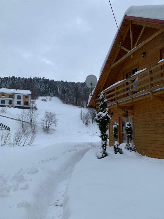 什切尔克Chata pod Skrzycznem LuLu的雪中的一个小木屋,靠近一条道路