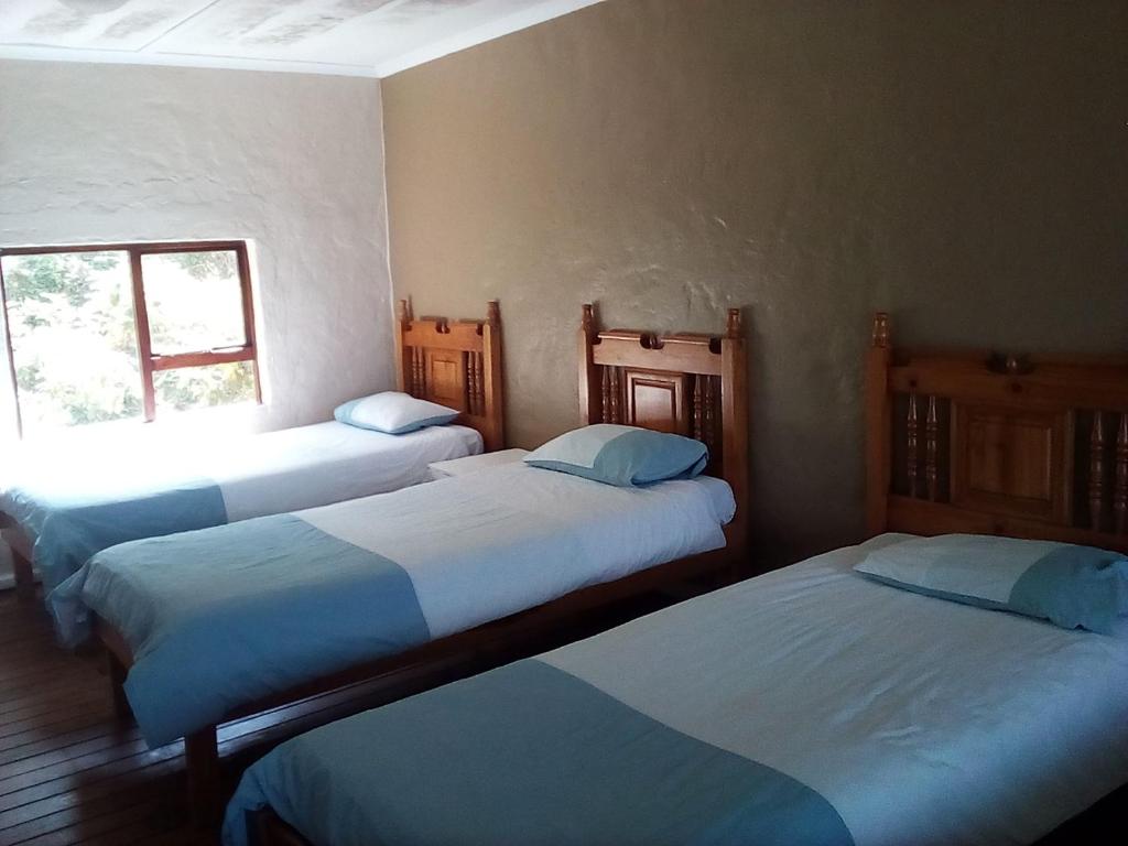 威廉王城Bisho Park guesthouse的一间房间,有三张床