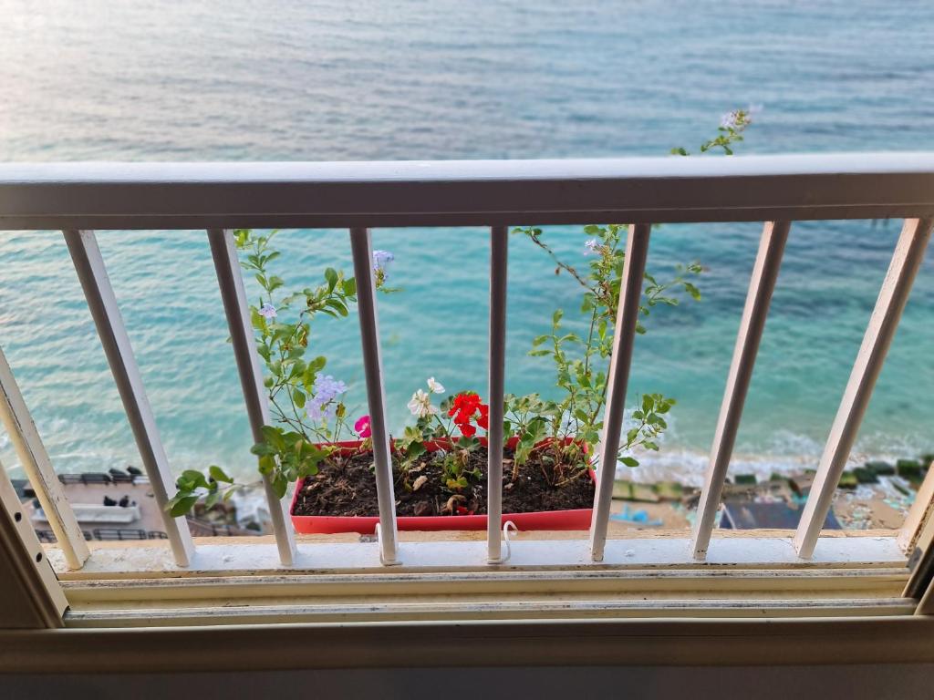 亚历山大Nour 1的俯瞰大海的阳台,窗户上设有花盆