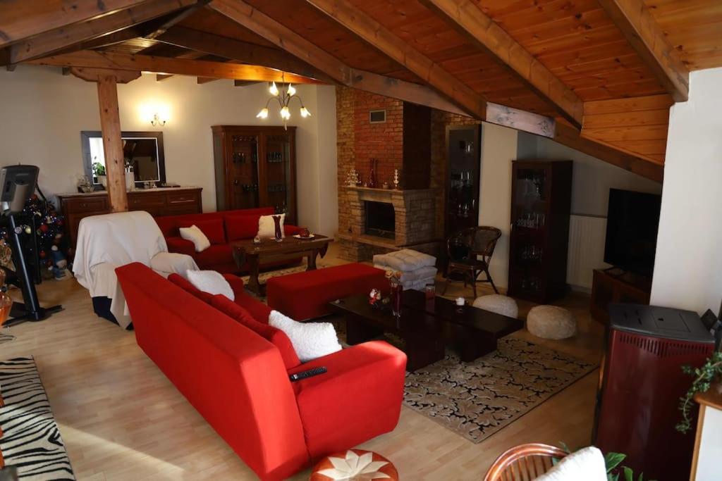 弗洛里纳Soffitta House Sofi!的客厅配有红色家具和壁炉