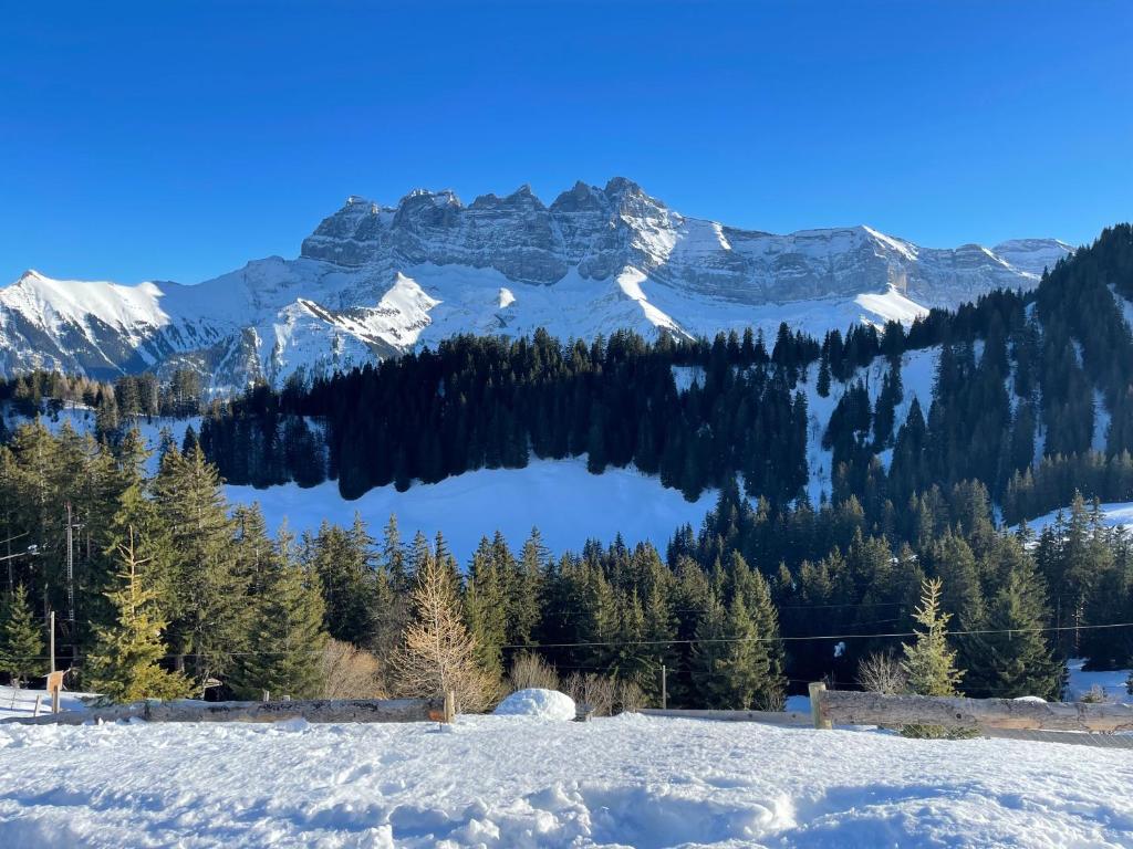 瓦尔·蒂利兹Mountain River Appart的享有雪覆盖的高山和湖泊的景色