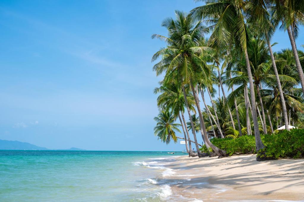 湄南海滩Sea&Sky Beach Resort的棕榈树海滩和海洋