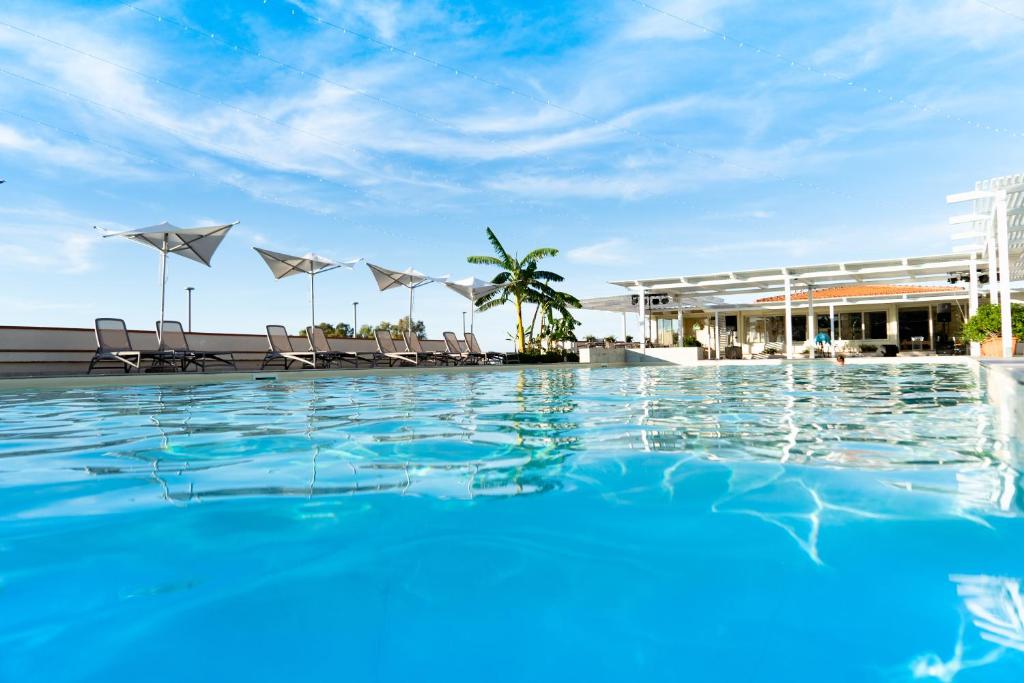 梵蒂冈角La Conchiglia Resort & Spa - Adults Only的度假村内带椅子和遮阳伞的游泳池