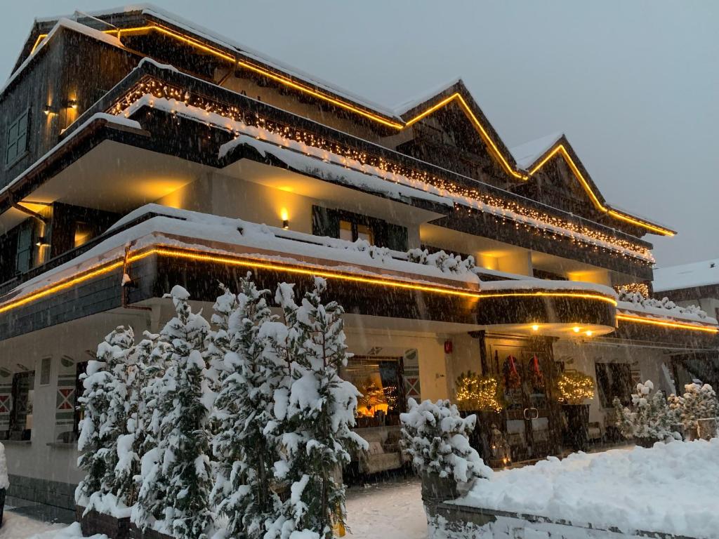 博尔米奥Hotel Alù Mountain Design的前面有雪覆盖的树木的建筑