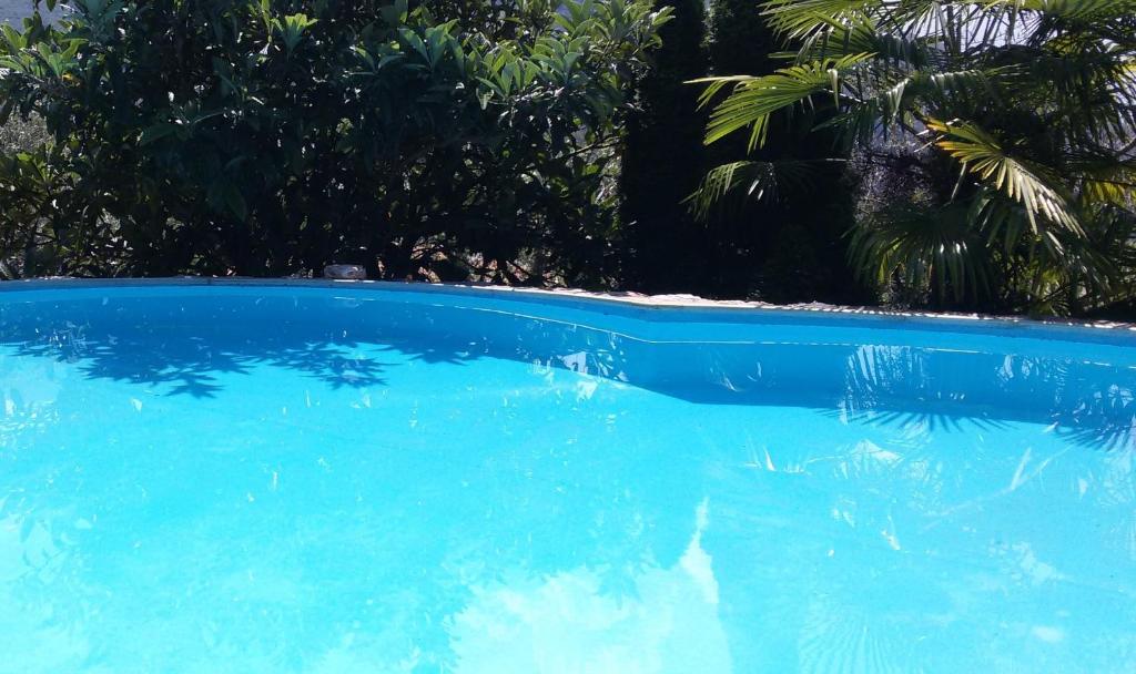 托尔博莱S托梅纳戈托尔博莱乡村民宿的一座种植了棕榈树的蓝色游泳池