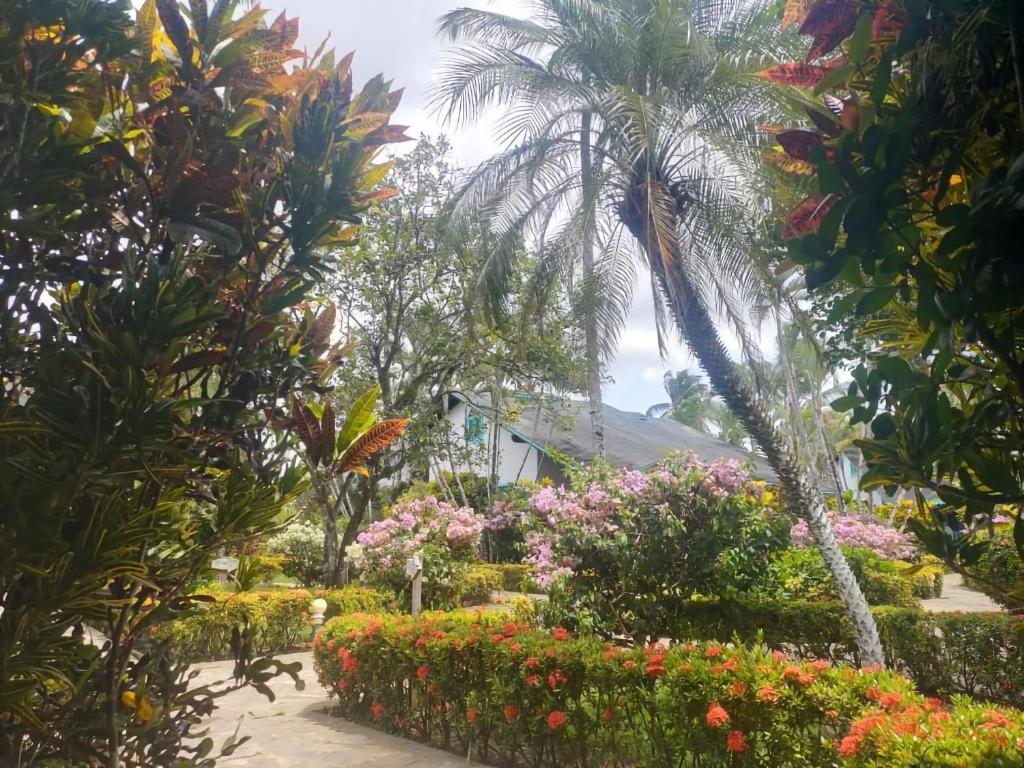 拉斯特拉纳斯Las Palmas Eco Residence的一座花园,在一座建筑前种有棕榈树和鲜花
