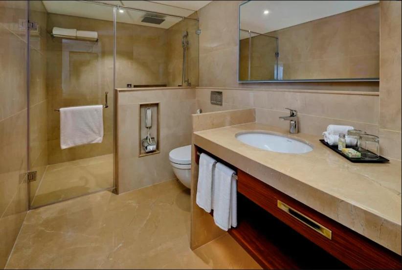 乌代浦Pride Hotel Udaipur的一间带水槽、卫生间和淋浴的浴室