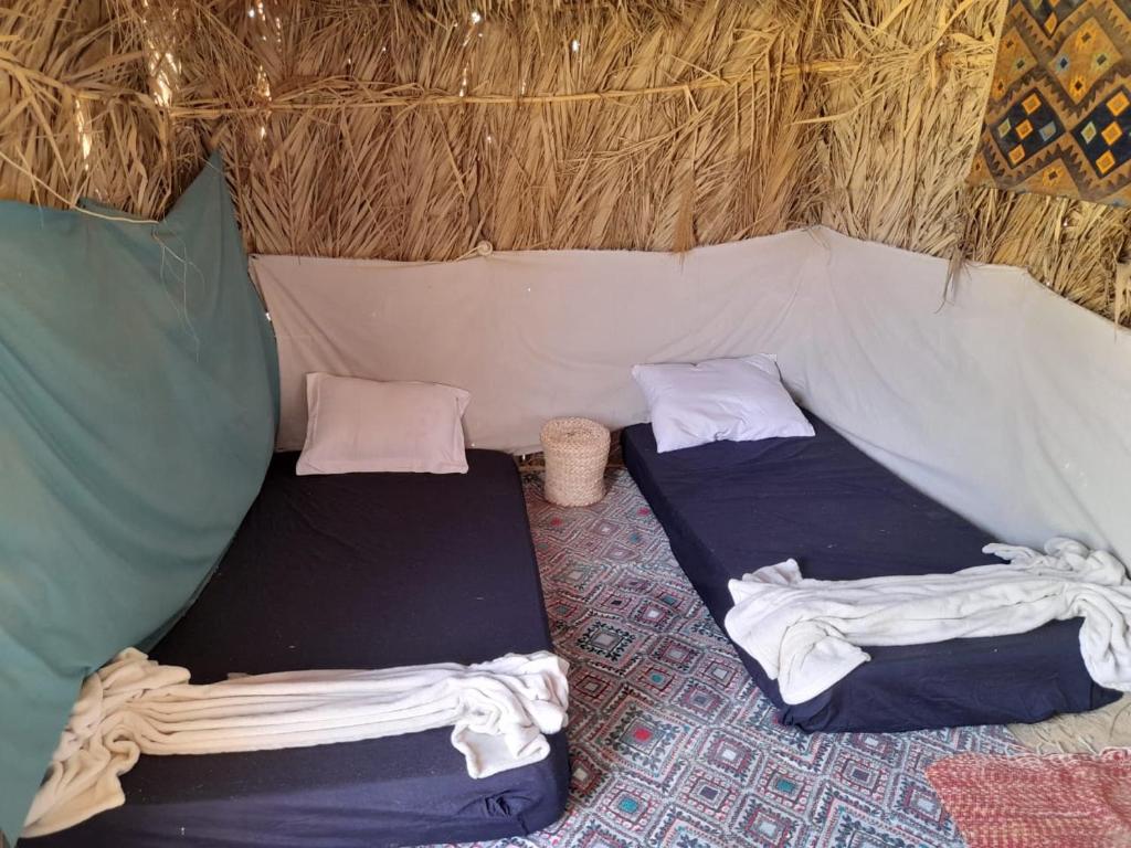 ‘Izbat ŢanāţīHidigda Camp的小型帐篷内的两张床,配有