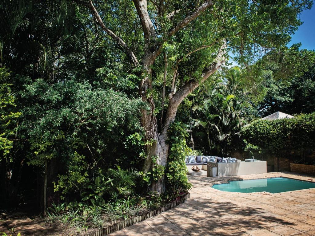 圣卢西亚Galago Way的一座带树木和游泳池的庭院