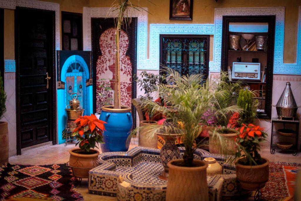 马拉喀什多加住宿加早餐旅馆的一间种植了许多盆栽植物的房间