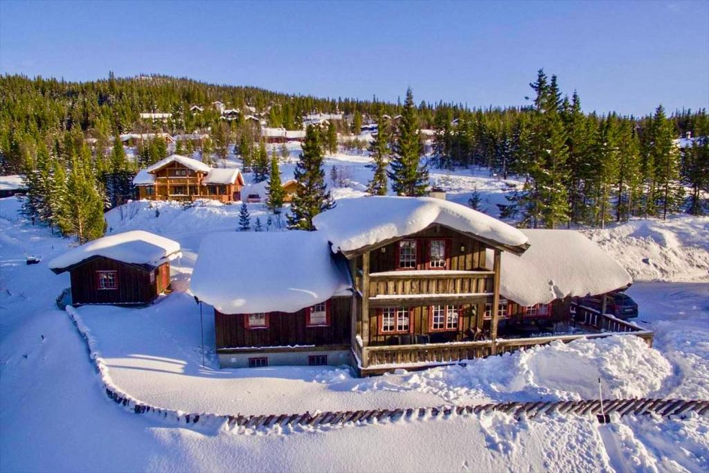 冬天的Grand cabin on Nesfjellet Alpin with ski in out