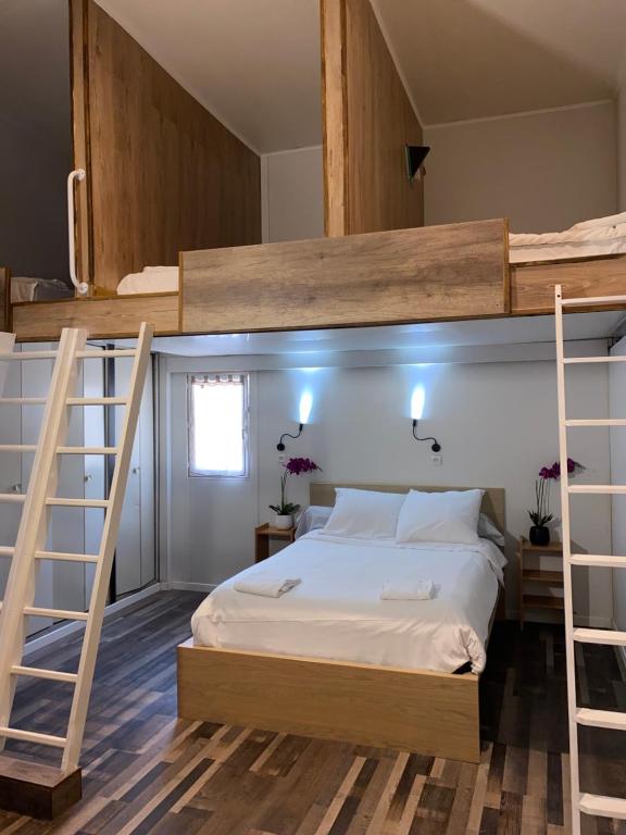 第戎Gîte Amazonia的一间卧室配有一张双层床和梯子