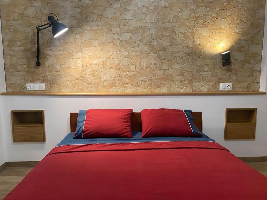 亚历山德鲁波利斯Central cozy apartment with garden的一张带两个红色枕头和石墙的床