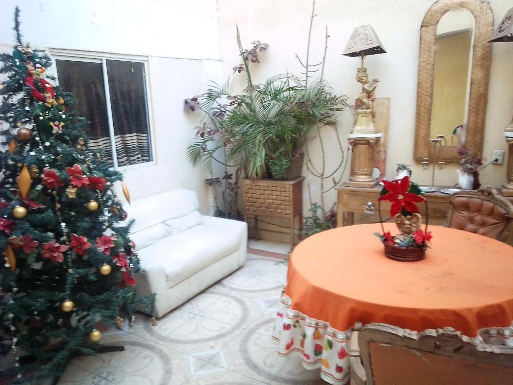 圣路易斯波托西pension de fer的客厅配有圣诞树和桌子