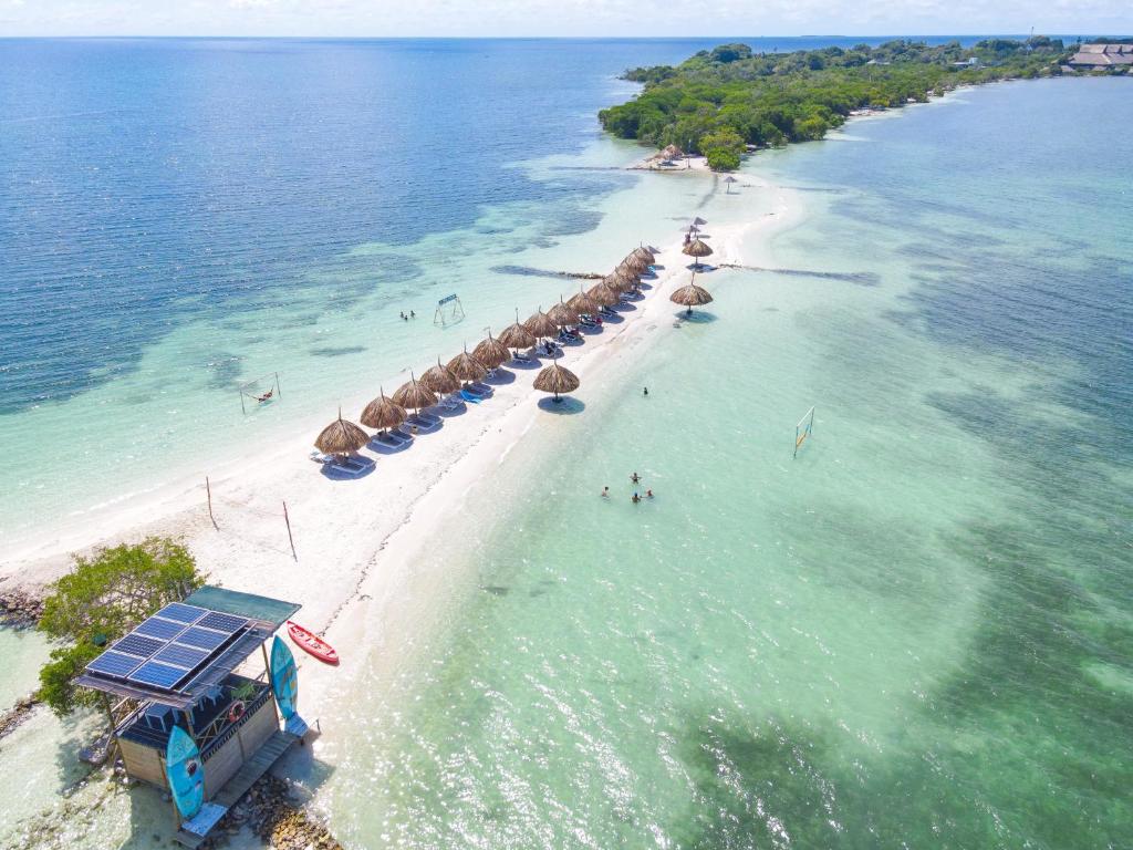 帕尔马岛Hotel Isla Palma Reserva Natural的海滩上有遮阳伞和水中的人