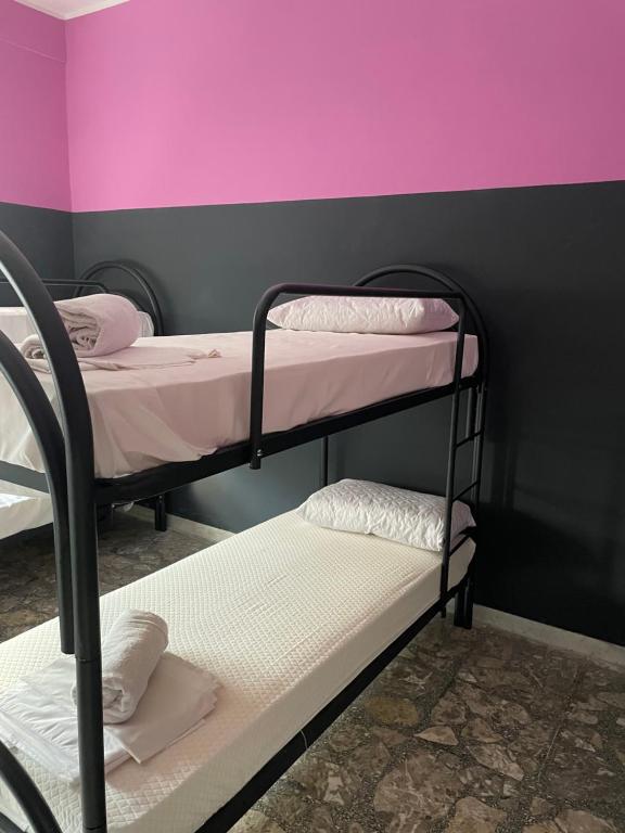 那不勒斯Alexander hostel的粉红色墙壁的客房内设有两张双层床。