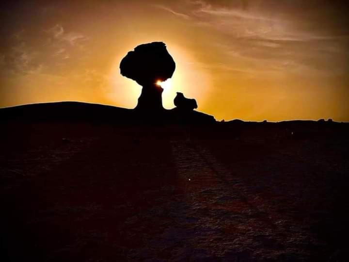 BawatiWestern desert safari的日落时坐在山上的人的轮廓