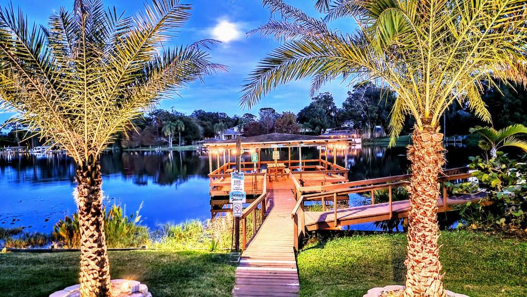 奥兰多奥兰多湖畔小度假屋的湖上两棵棕榈树之间的码头