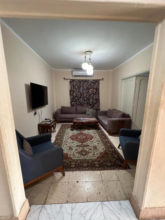 开罗Dar Misr的带沙发和电视的客厅