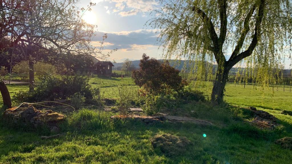 Jeux-lès-BardChambre d'hôtes dans les champs的草场上有一棵树和一道栅栏