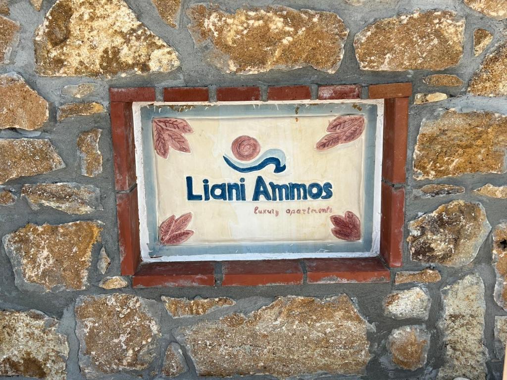 阿莫利亚尼岛Liani Ammos的石墙边的标志