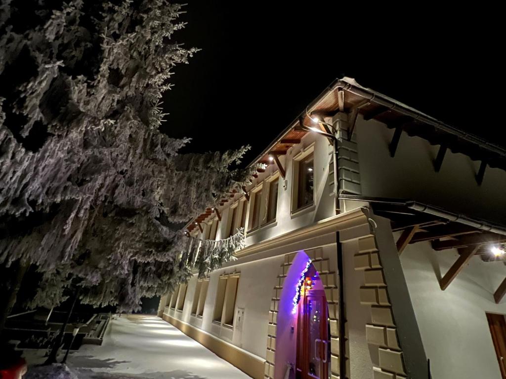 佩济诺克HOTEL GALERIA PEZINSKA BABA的一座房子,晚上有紫色的门和一棵树