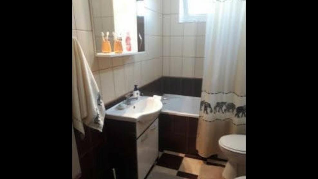 VedeaVila Adrian Argeș的浴室配有盥洗盆、卫生间和浴缸。