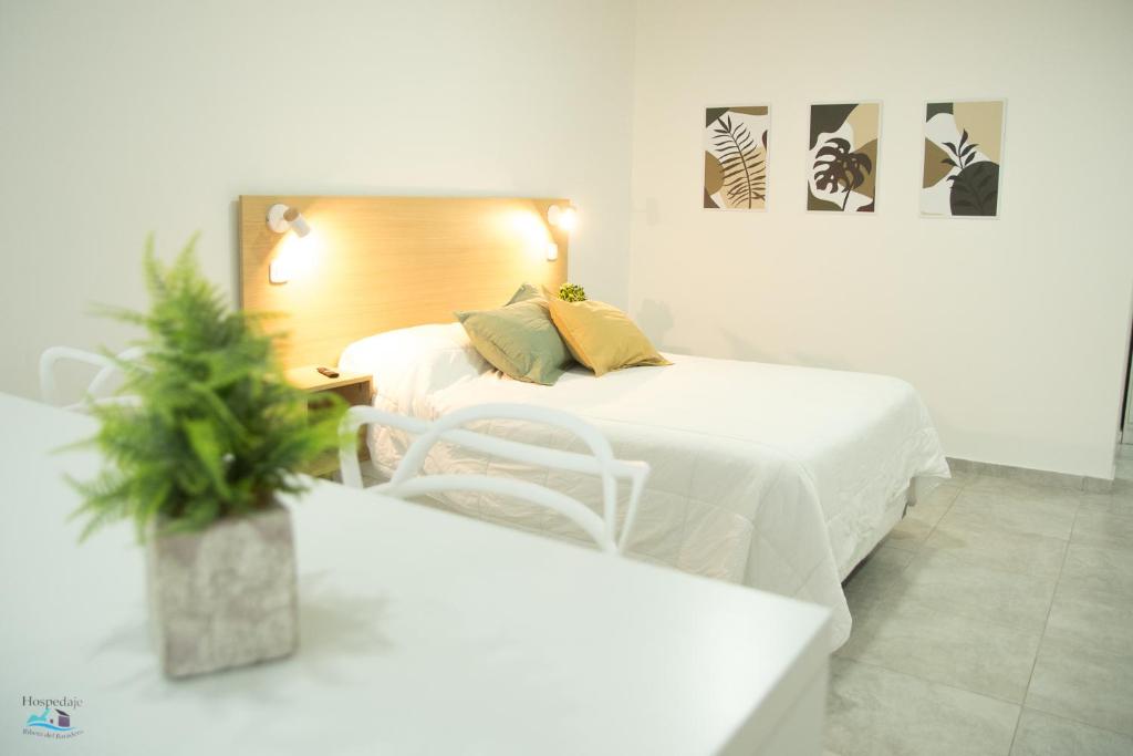 巴拉德罗APART HOTEL RIBERA DEL BARADERO pileta climatizada的一间卧室设有两张床和盆栽植物
