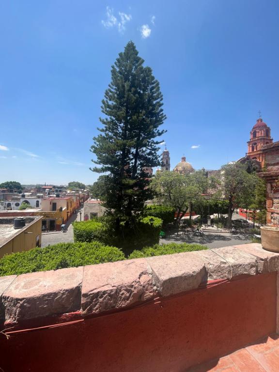 圣米格尔-德阿连德Hotel Rinconada的石墙顶上的一棵树