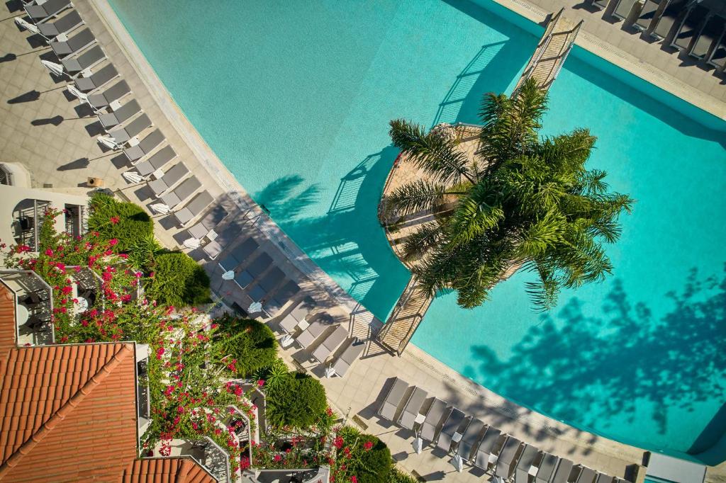 蒂锡利维Tsilivi Beach Hotel Zakynthos的享有游泳池的顶部景色,游泳池拥有棕榈树