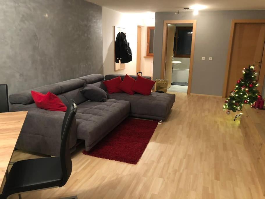 布鲁尼科Appartamento nuovo e comfort a Brunico Kronplatz的客厅配有灰色的沙发和圣诞树