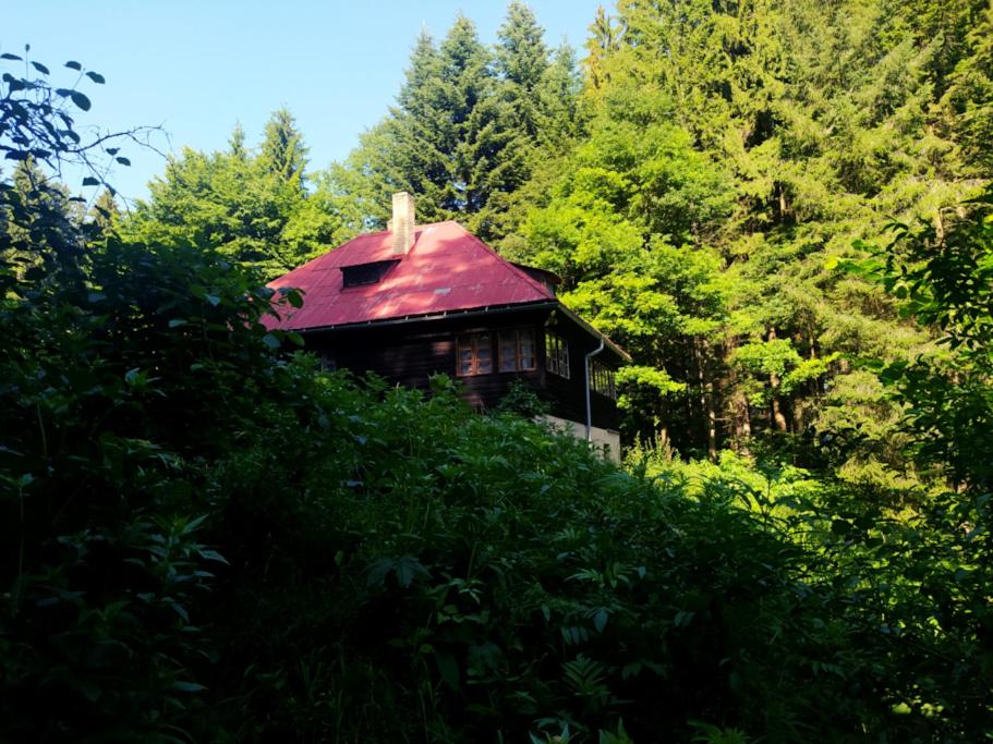 瓦拉什斯凯克洛博乌基Horská chata Jiřinka的树林中带红色屋顶的小房子