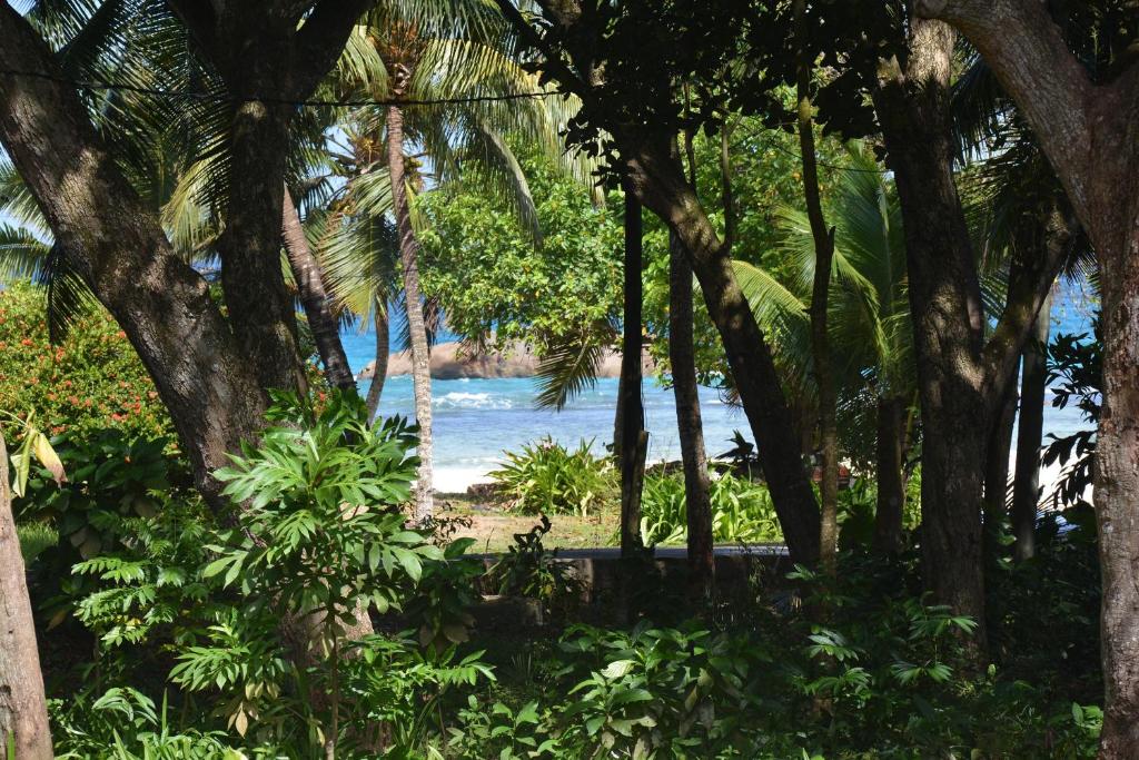 拉迪格岛O'Soleil Chalets Self Catering的透过树林欣赏海滩美景