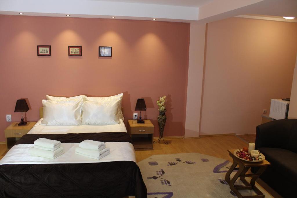 尼什矿泉村佐内公寓的酒店客房,配有床和沙发