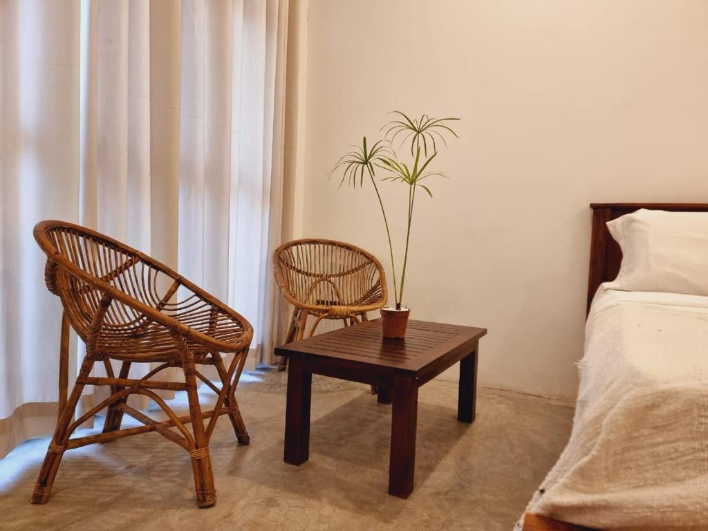 阿杭格默Sandil Surf house的一间设有桌子和两把椅子的房间和植物