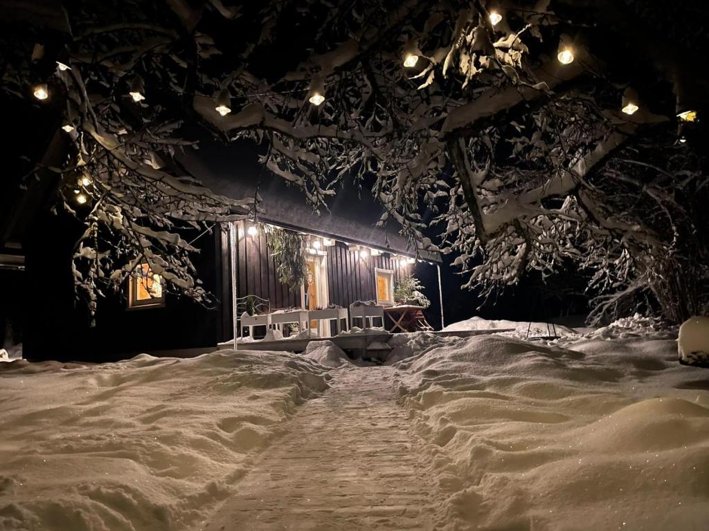 GarkalneČapu Liepu sauna的雪上覆盖的舞台,灯光照亮