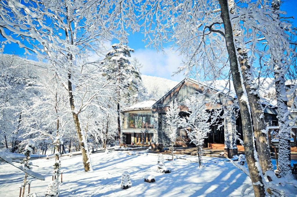 白马村白馬塞拉度假酒店的雪中的房子,有雪覆盖的树木